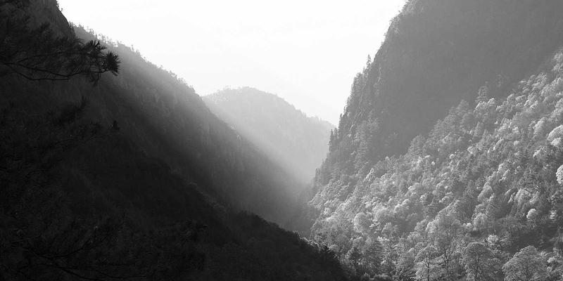 LlamaIndex组织变革：不仅仅是工具替换